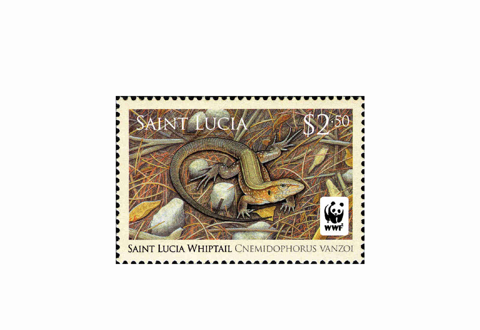 Briefmarken St. Lucia 50 verschiedene Marken postfrisch und gestempelt