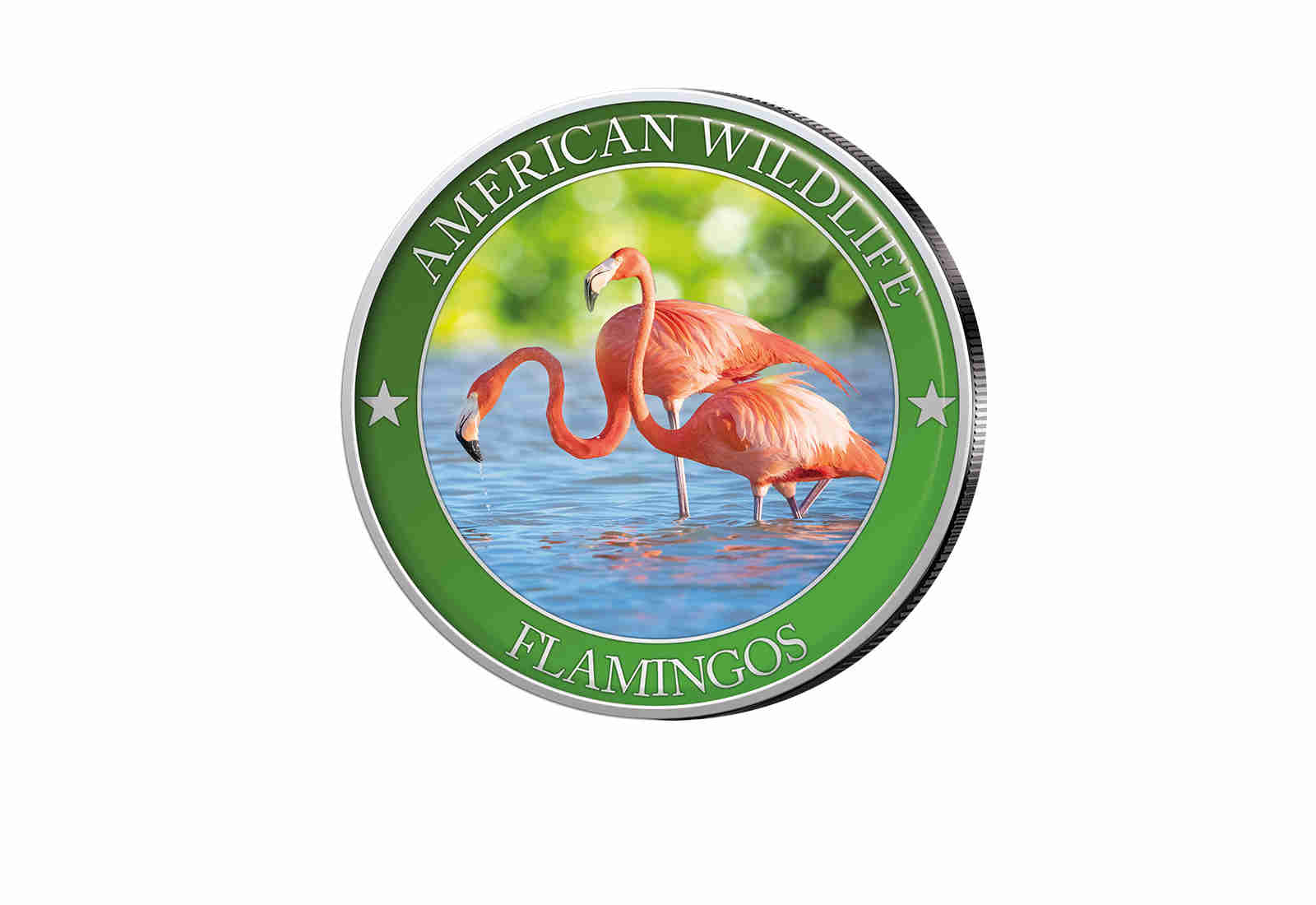 1/2 Dollar USA Flamingo Serie American Wildlife mit Farbapplikation