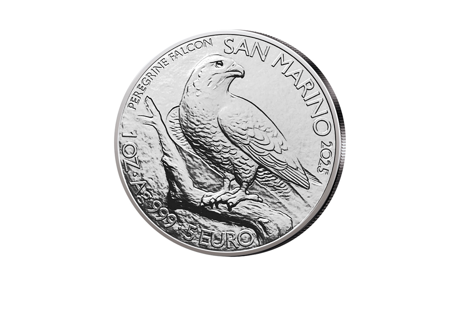 5 Euro 2025 San Marino Wanderfalke 1 oz Silber