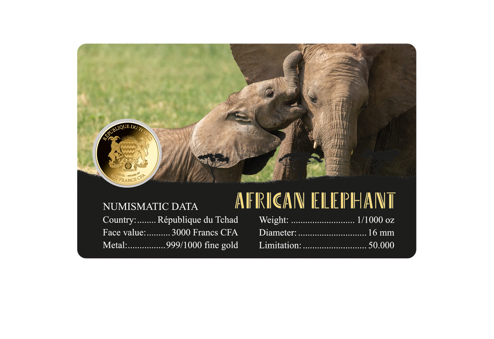 Goldmünze Motiv African Elephant Coincard Feinheit 999/1000 Gold Geschenk