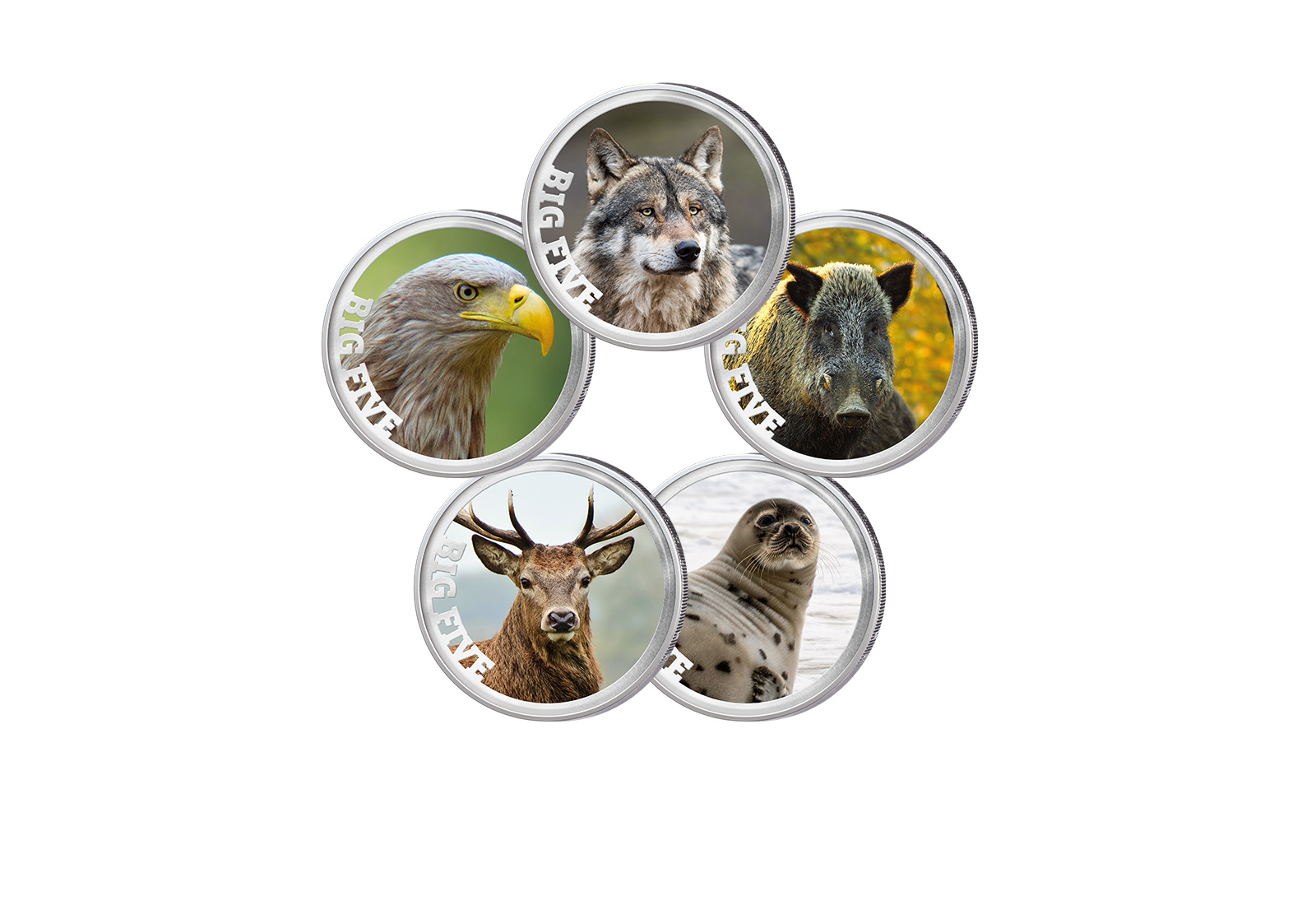 5x 2 Euro Premium-Set Big Five of Germany im Etui