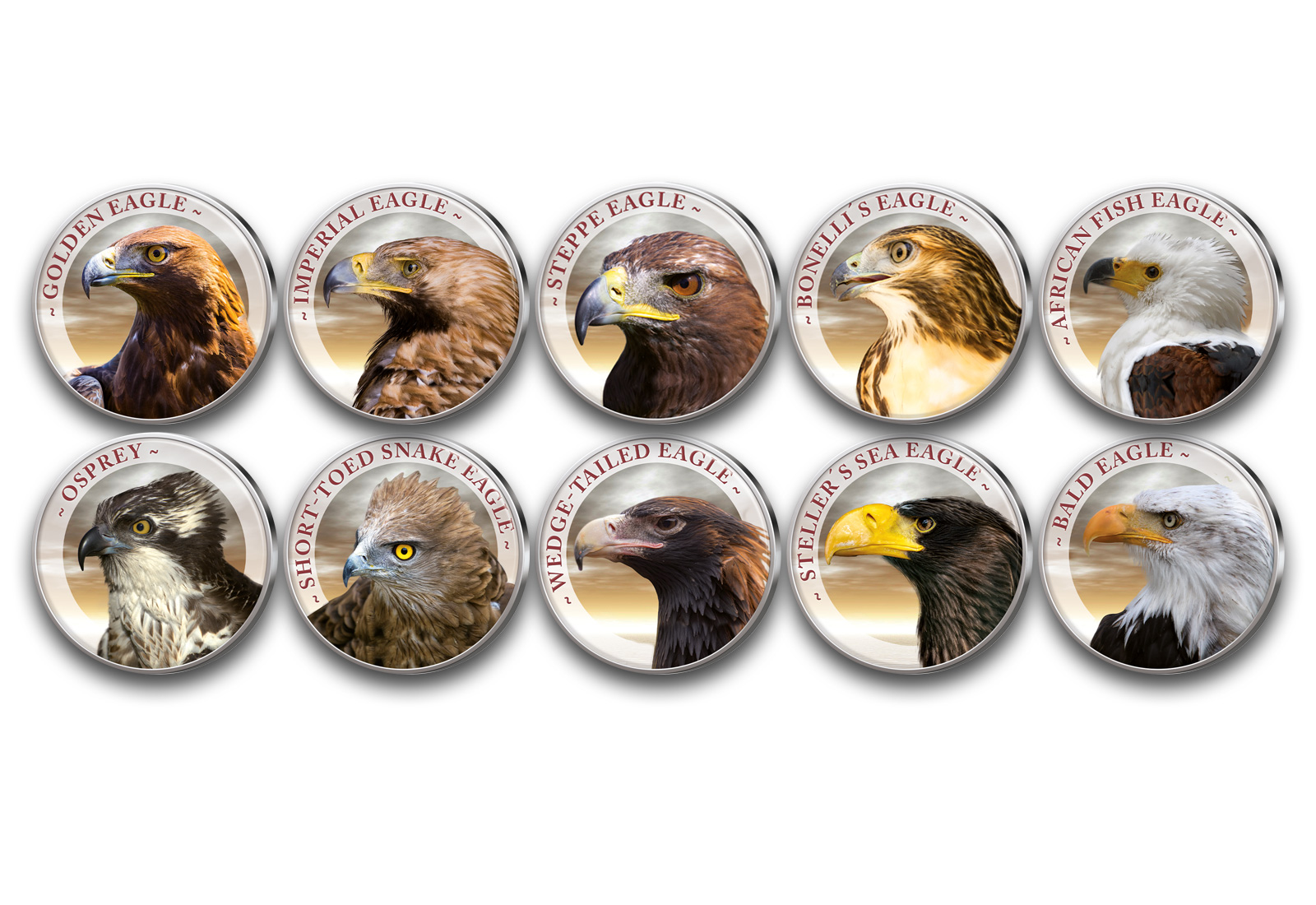 Adler 10er Kollektion mit Farbmotiv im Etui inkl. Zertifikat