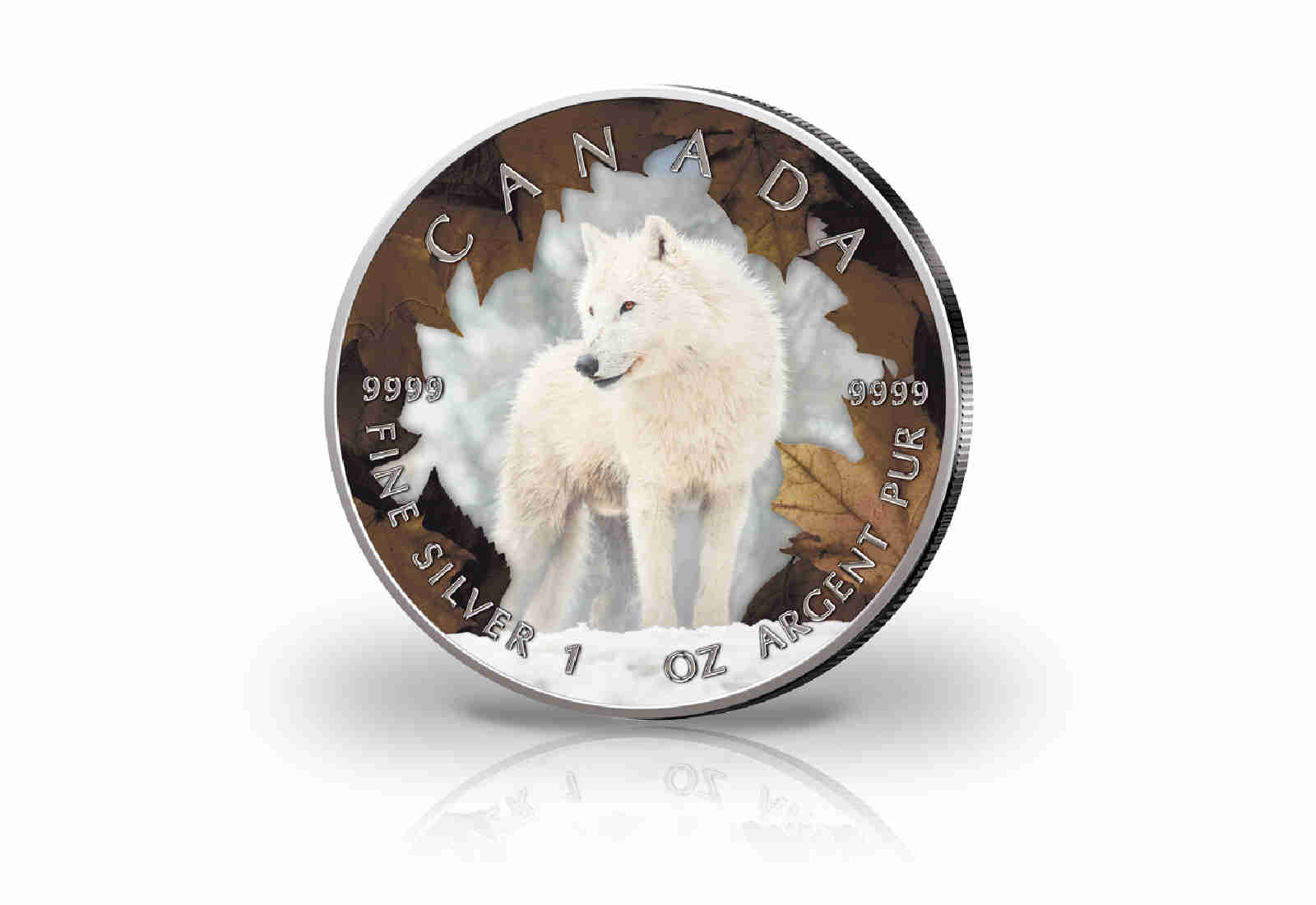 Maple Leaf 1 oz Silber Jahrgang unserer Wahl Kanada mit Farbmotiv Polarwolf