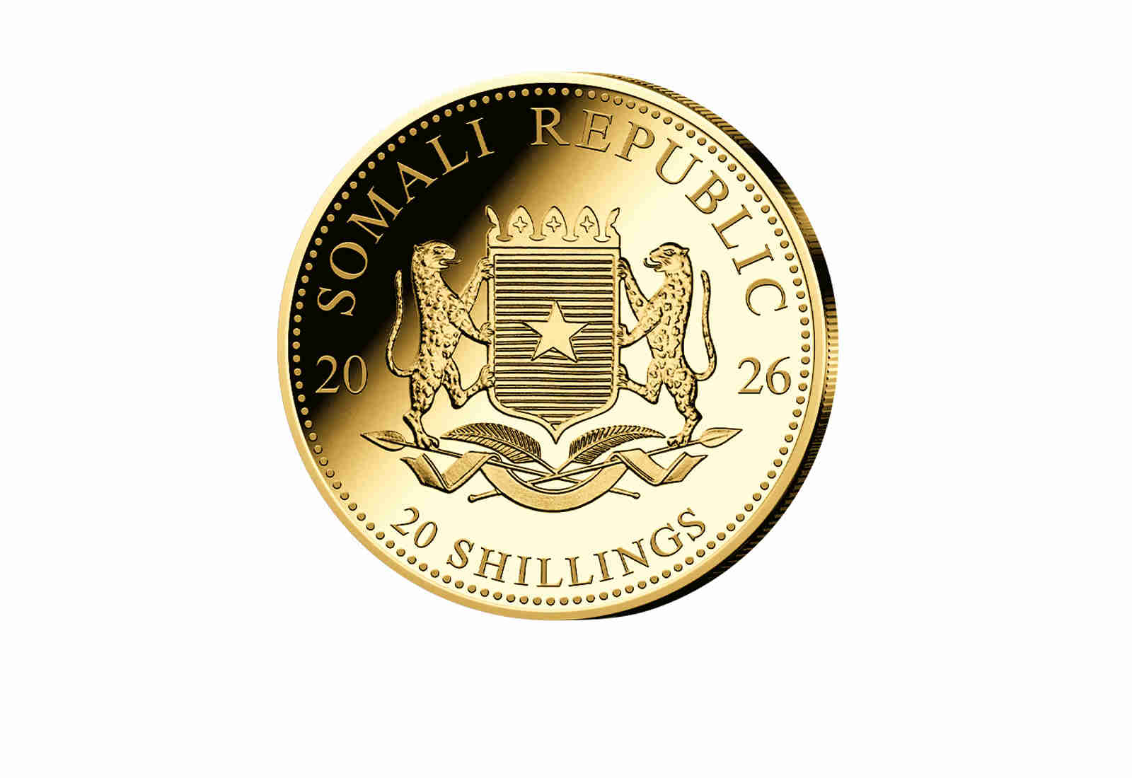 African Wildlife Serie 0,5 Gramm Gold 2026 Somalia Elefant