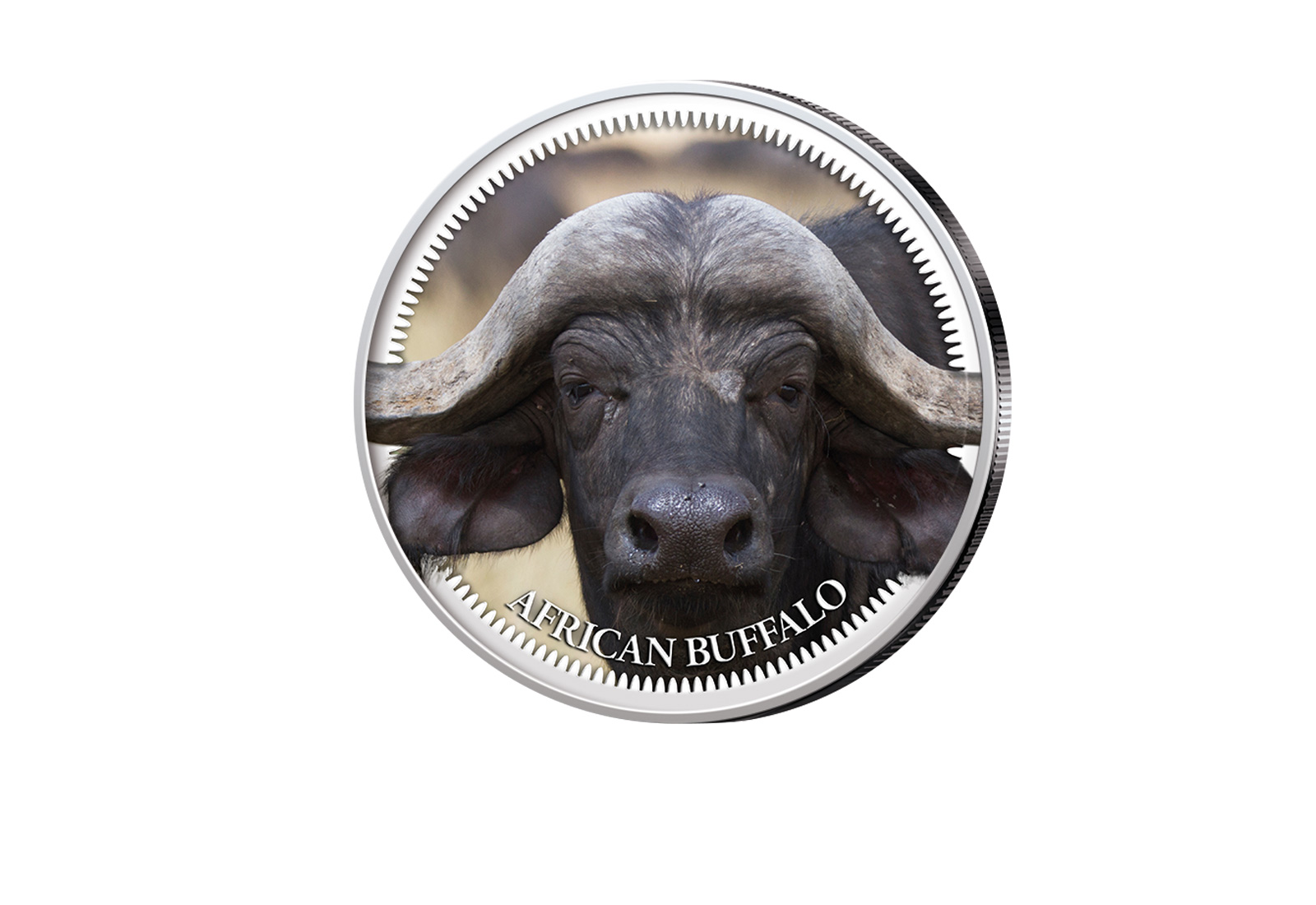 American Eagle1 oz Silber USA mit Farbmotiv Big Five II Büffel