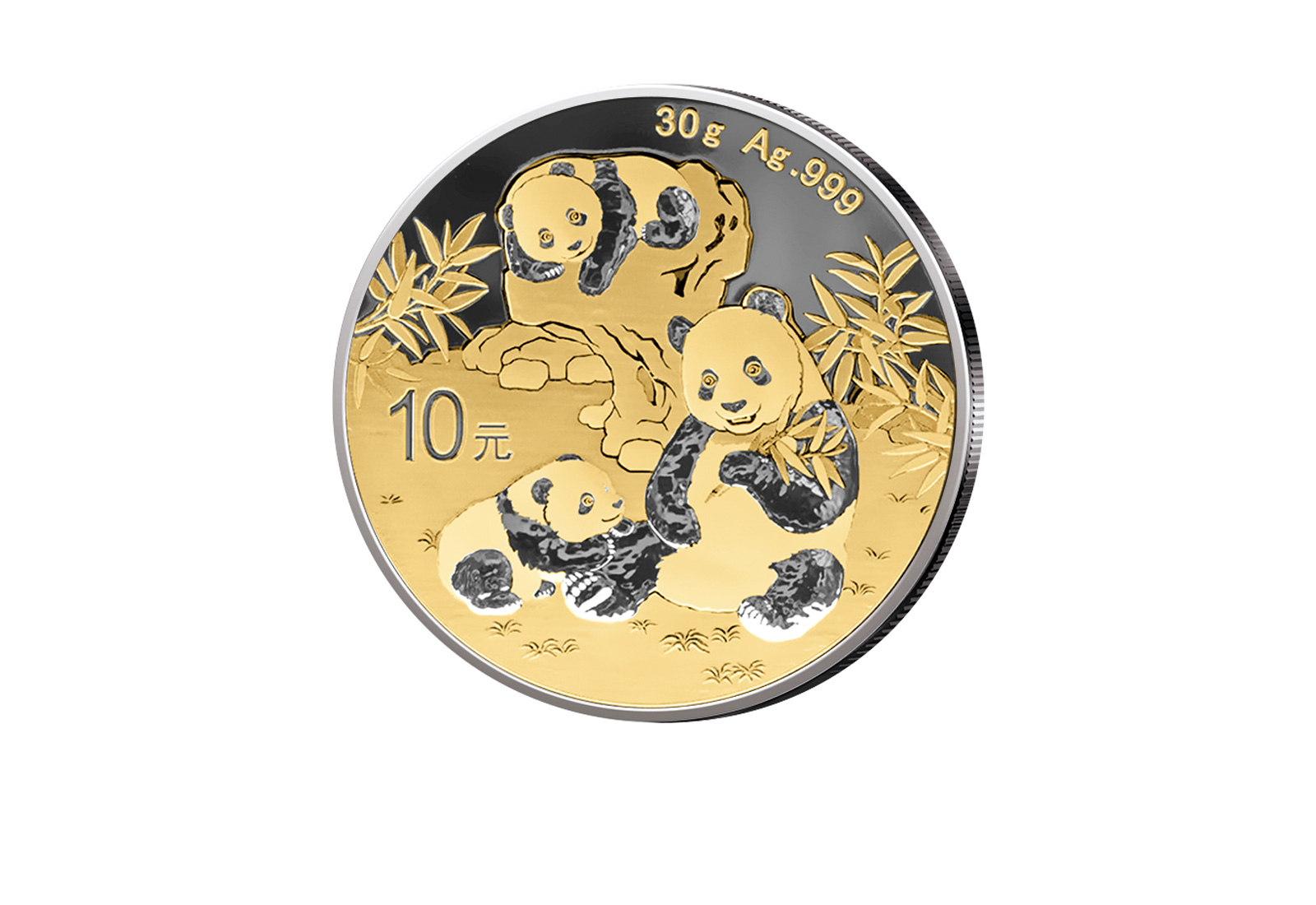 Panda 30g Silber 2025 China Goldapplikation