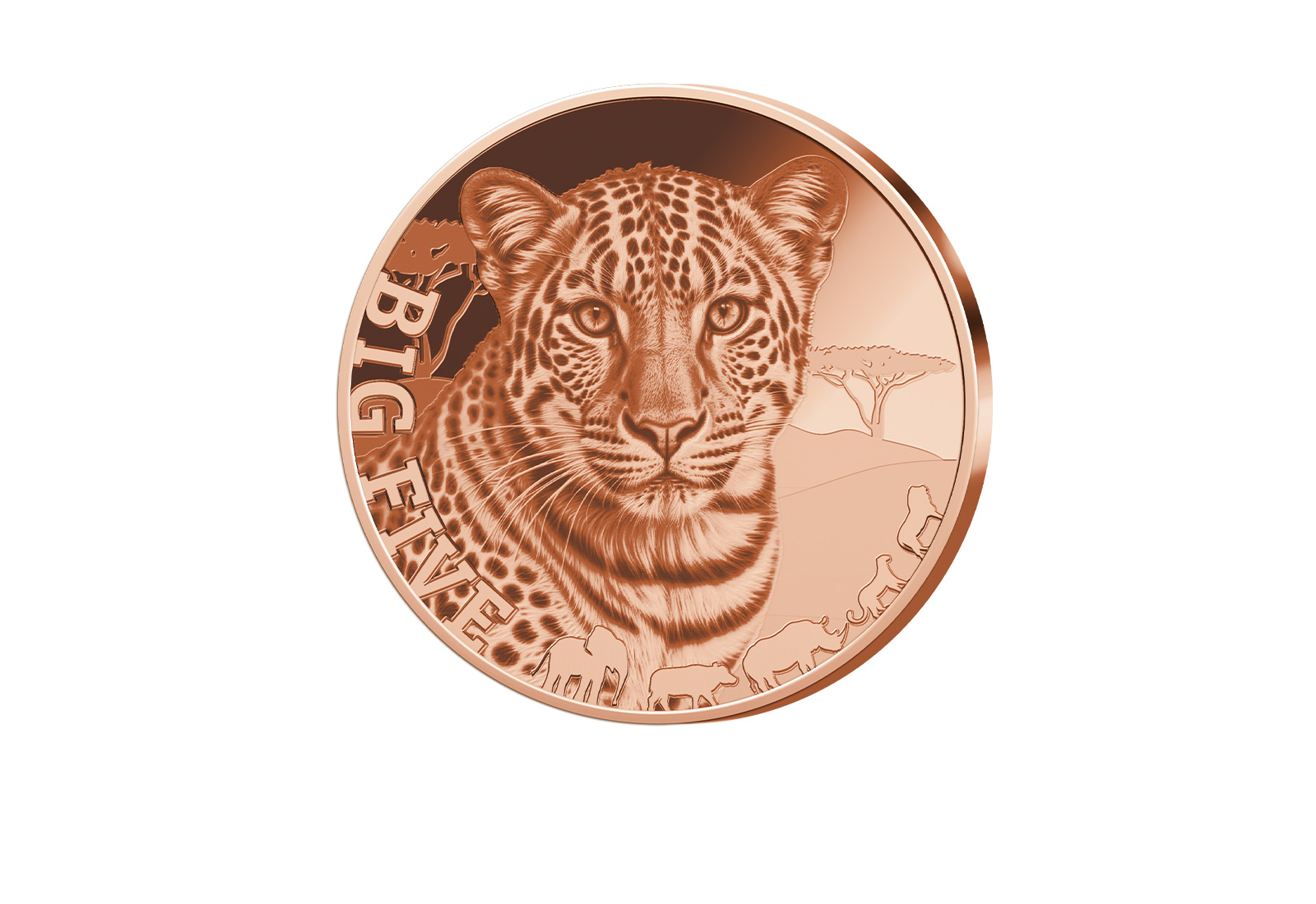 1 oz Kupferausgabe Leopard Big Five of Africa