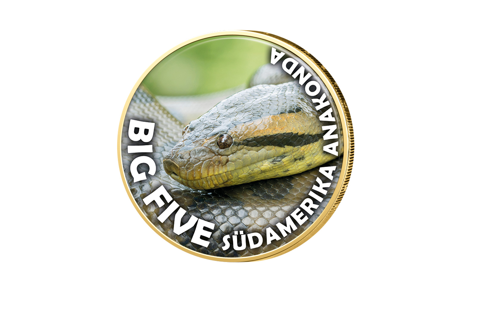 2 Euro vergoldet Big Five Südamerika Anakonda