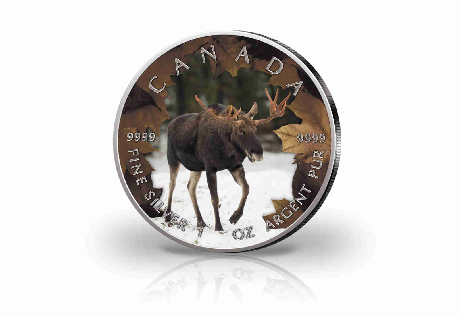 Maple Leaf 1 oz Silber Jahrgang unserer Wahl Kanada mit Farbapplikation Elch
