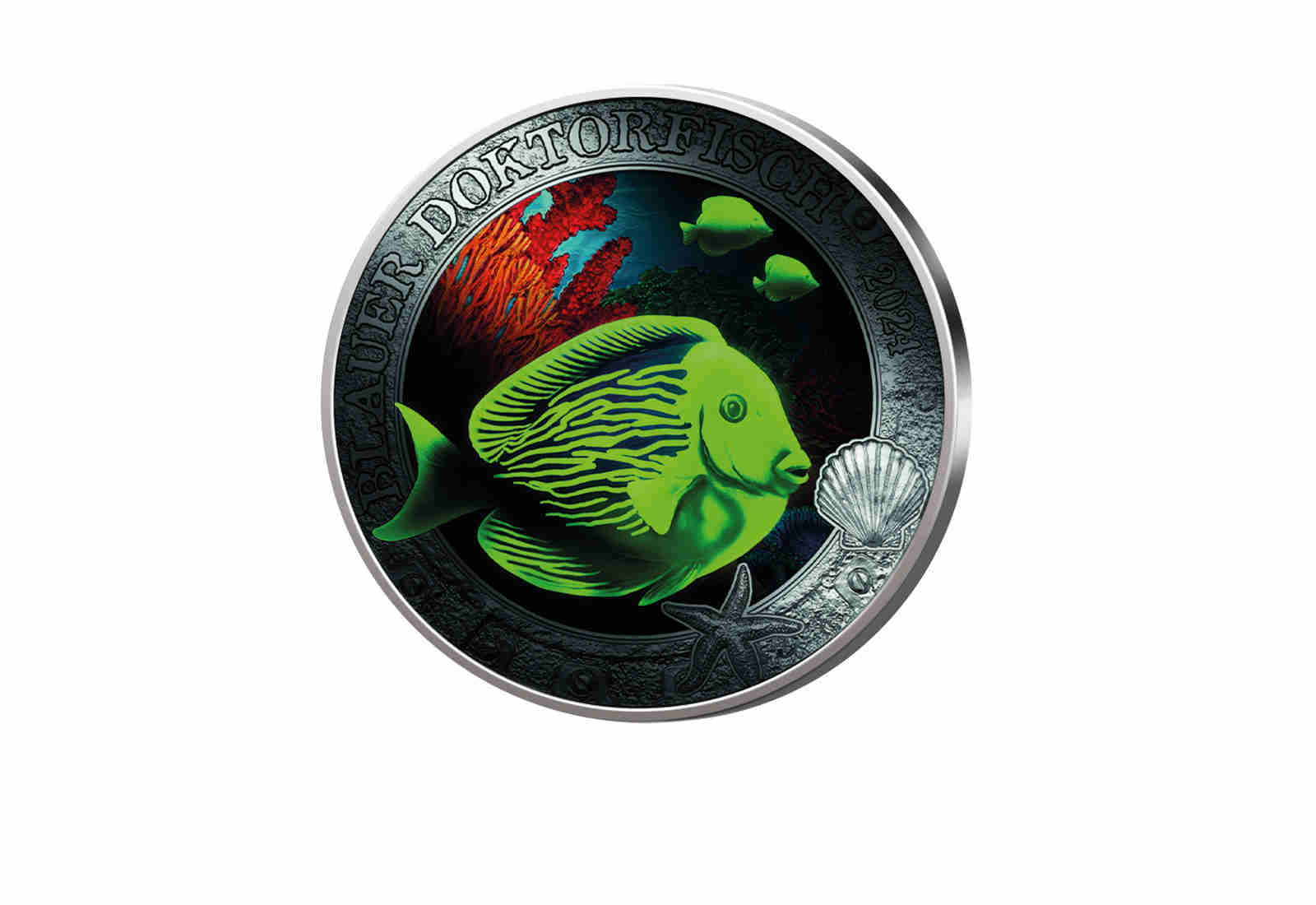 3 Euro 2024 Österreich Blauer Doktorfisch bfr.