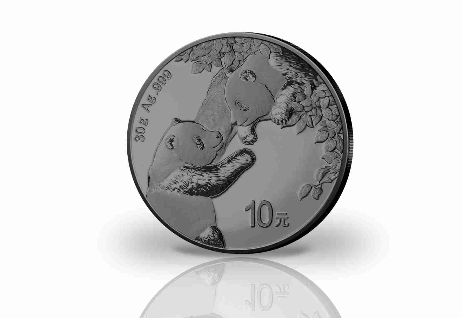 Panda 30 Gramm Silber 2023 China veredelt mit Ruthenium