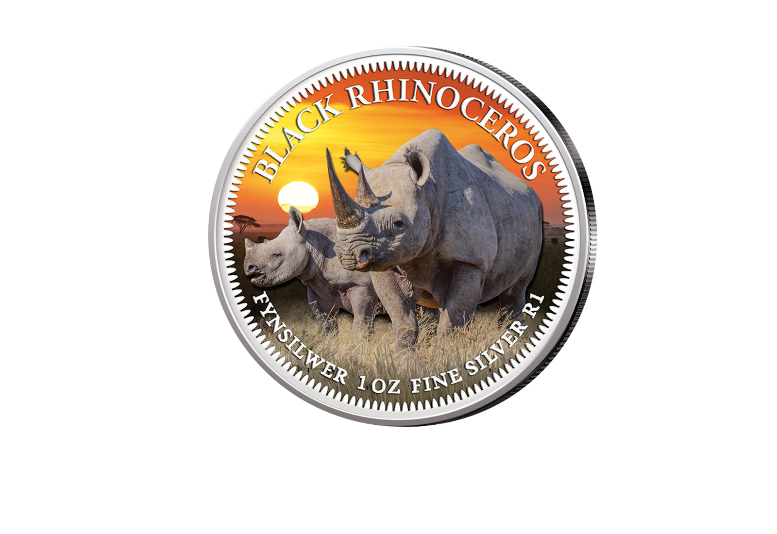 American Eagle 1 oz Silber USA mit Farbmotiv Big Five Nashorn