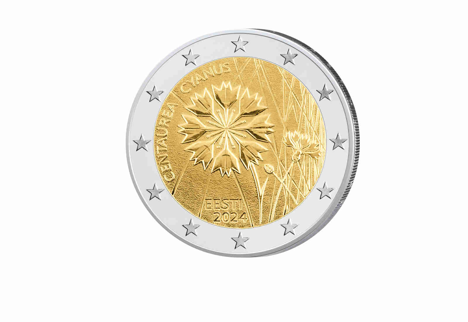 2 Euro 2024 Estland Nationalblume Kornblume bfr.