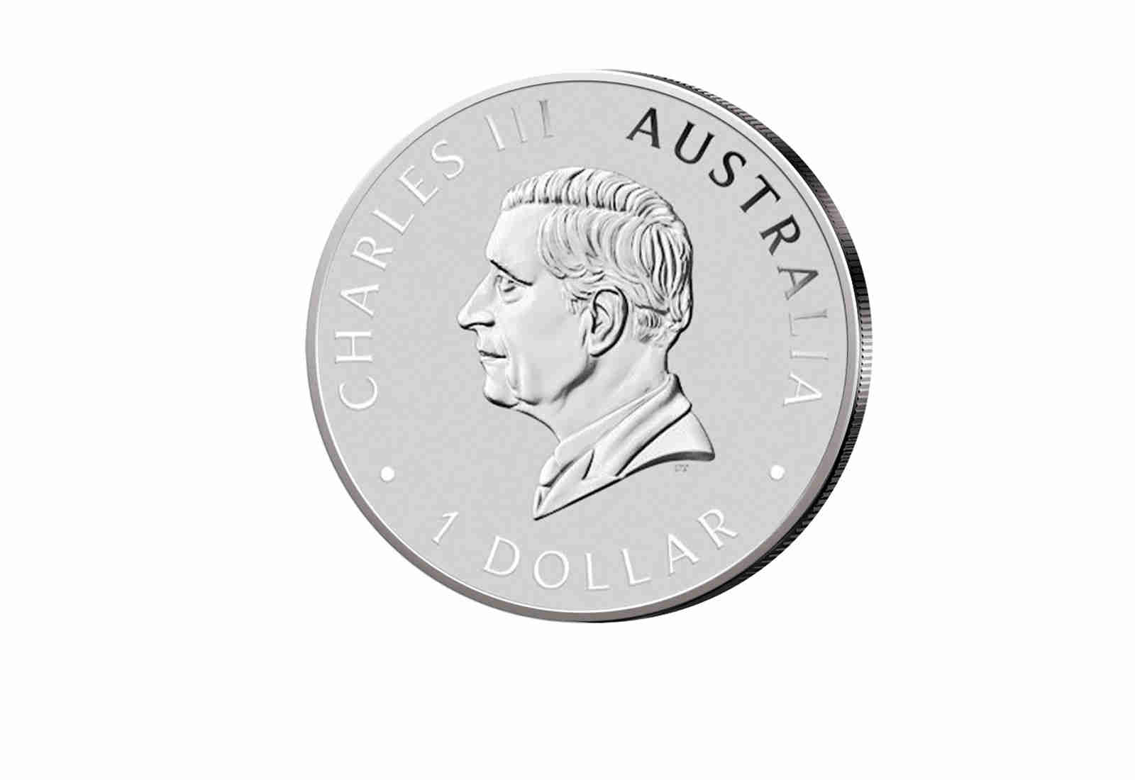 Wedge Tailed Eagle 1 oz Silber 2025 Australien
