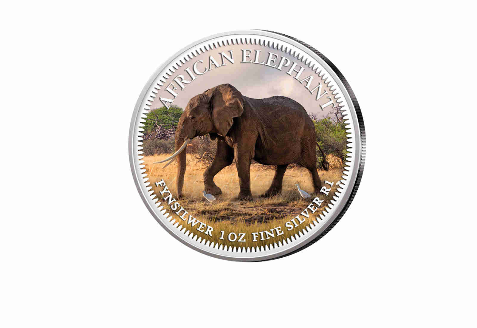 American Eagle 1 oz Silber USA mit Farbmotiv Big Five I Elefant
