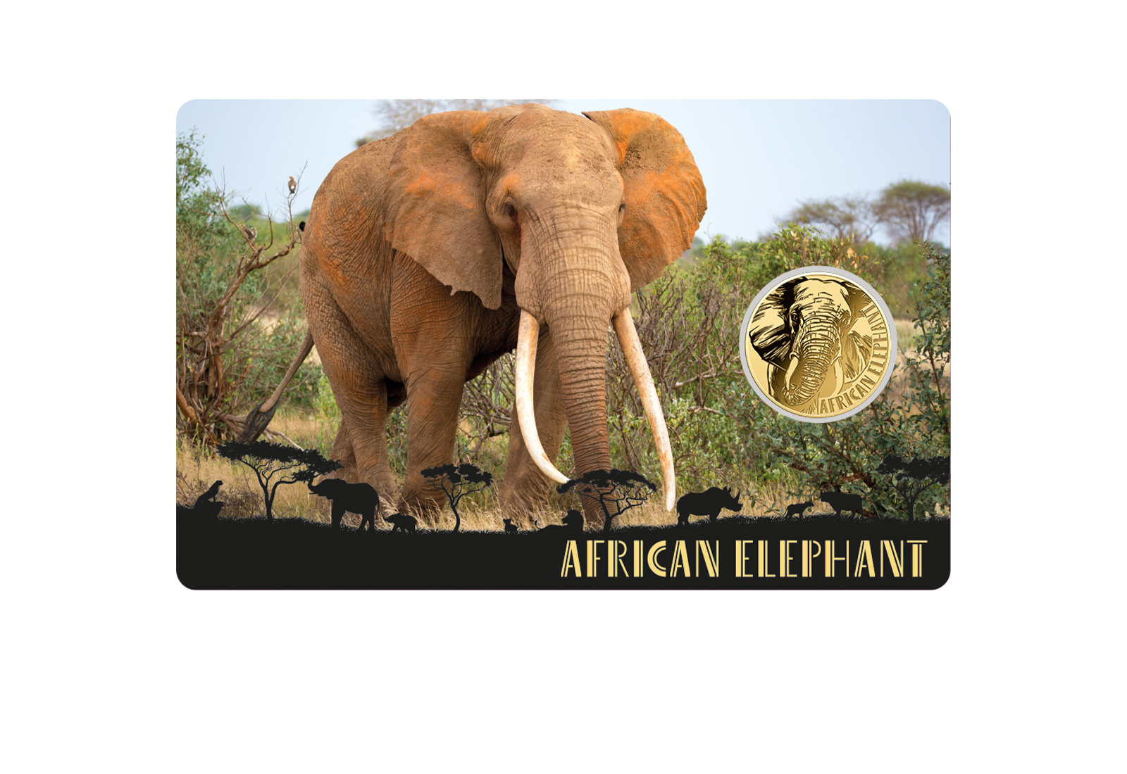 Goldmünze Motiv African Elephant Coincard Feinheit 999/1000 Gold Geschenk