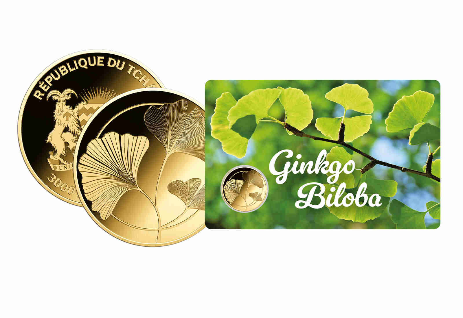 Goldmünze Motiv "Ginkgo Biloba" Coincard 999/1000 Gold Geschenk