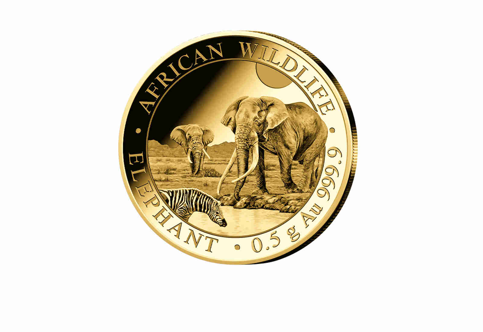 African Wildlife Serie 0,5 Gramm Gold 2026 Somalia Elefant