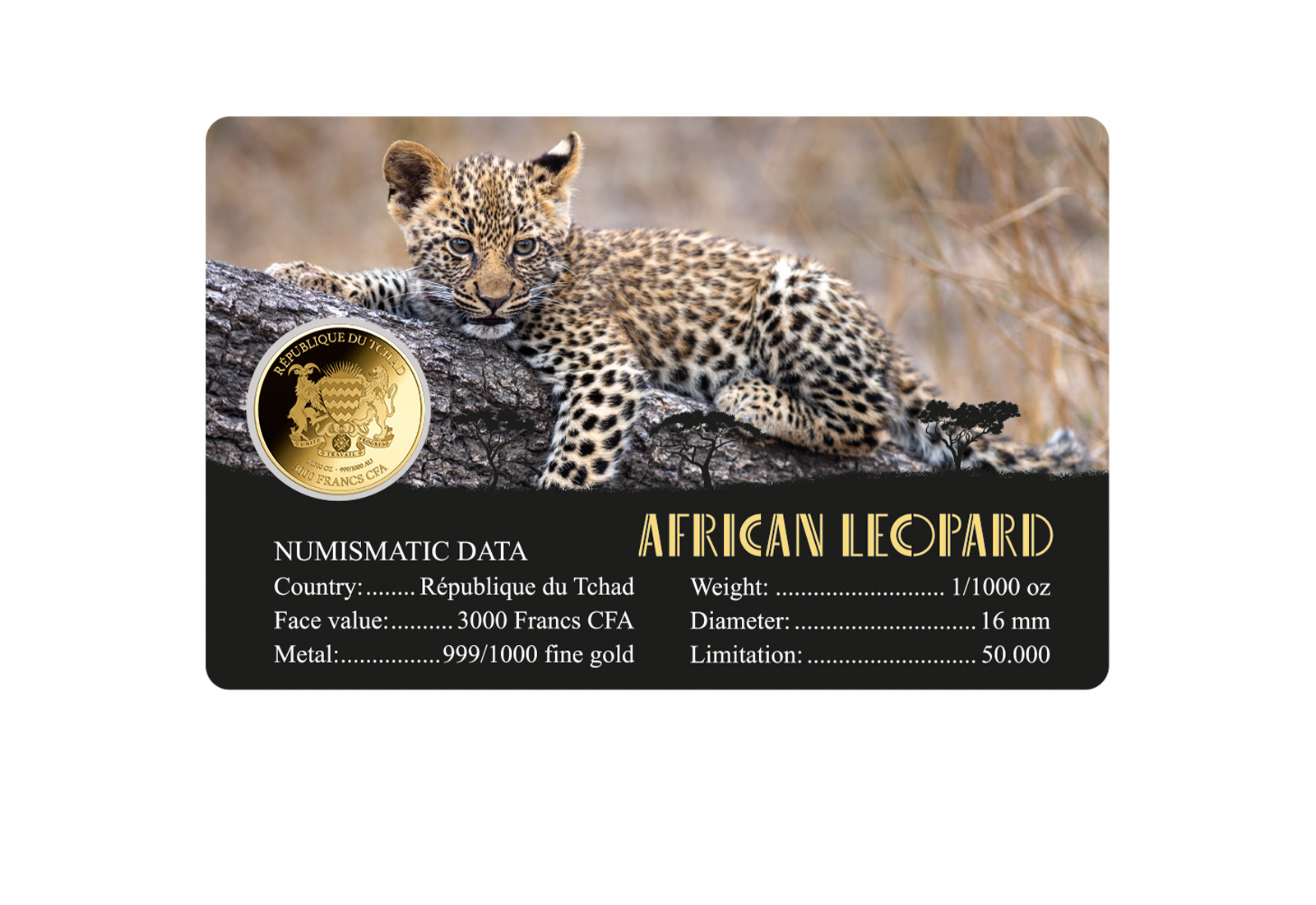 Goldmünze Motiv African Leopard Coincard Feinheit 999/1000 Gold Geschenk