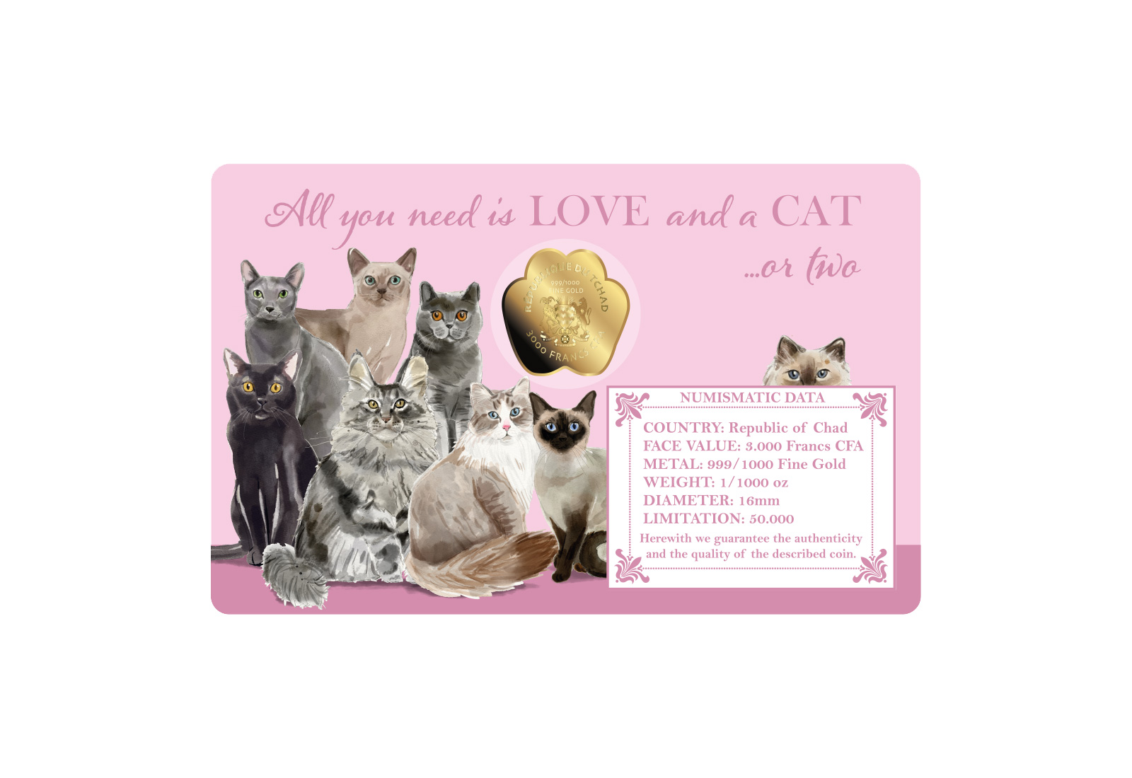 Coincard Katze mit Goldmünze