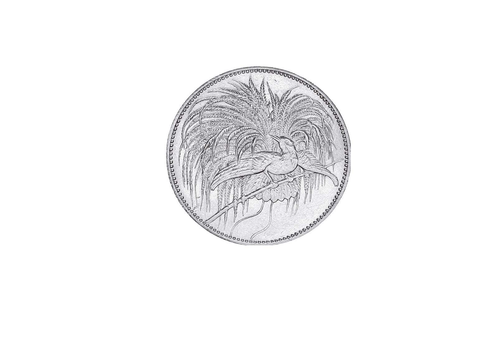 2 Neuguinea Mark 1894 Deutsch-Neuguinea Paradiesvogel Jaeger-Nr. N706