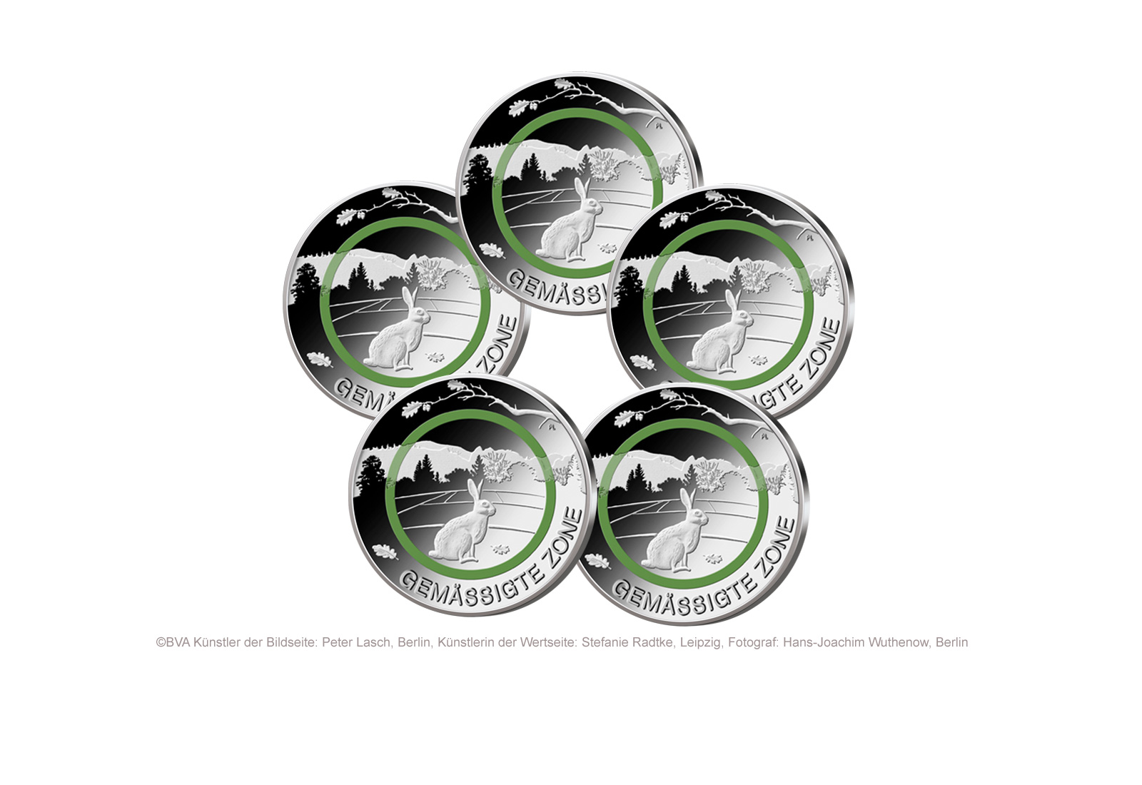 5 Euro 2019 Deutschland Gemässigte Zone mit Polymerring PP Prägestätte A-J