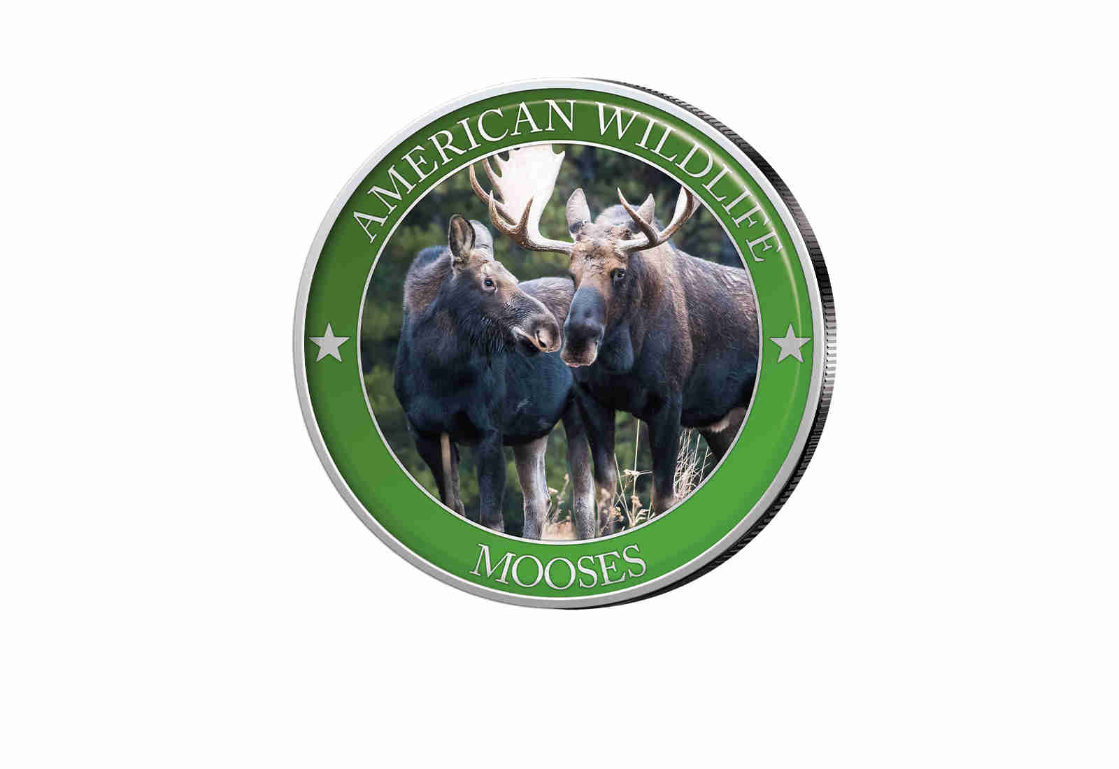 1/2 Dollar USA Moose Serie American Wildlife mit Farbapplikation