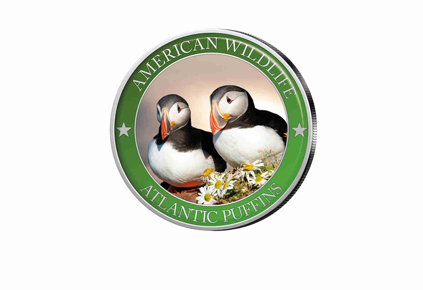 1/2 Dollar USA Atlantic Puffin Serie American Wildlife mit Farbapplikation