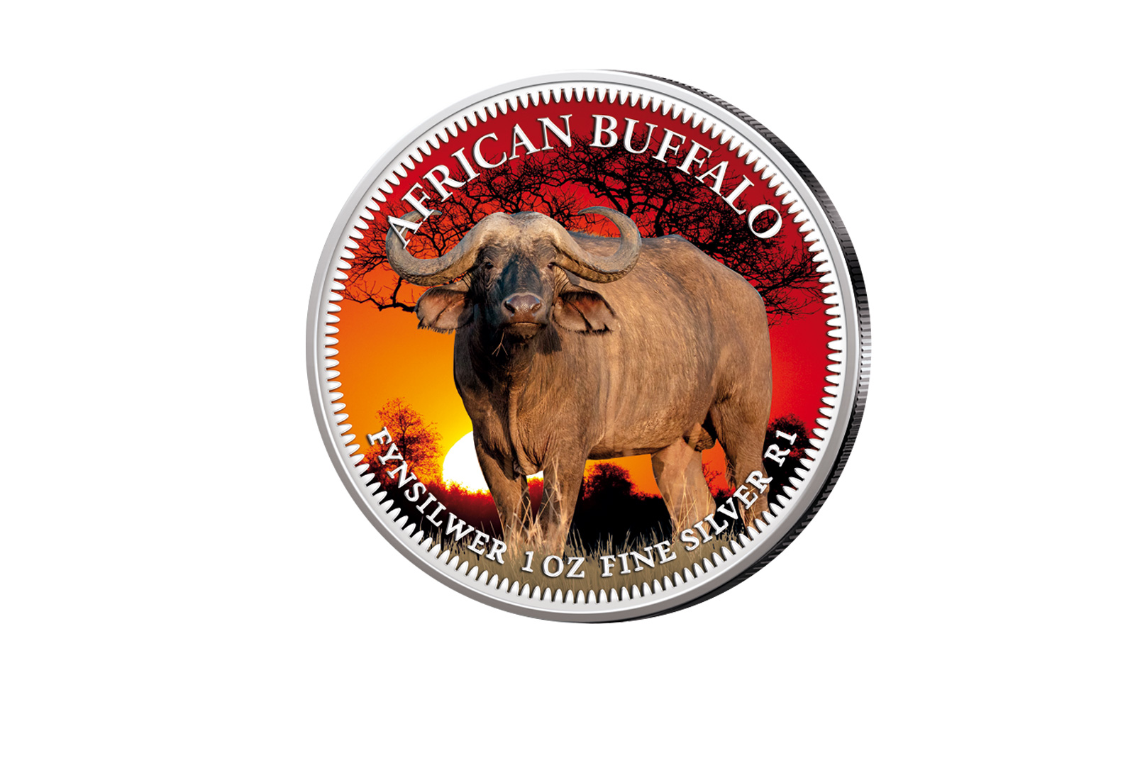 American Eagle 1 oz Silber USA mit Farbmotiv Big Five Büffel