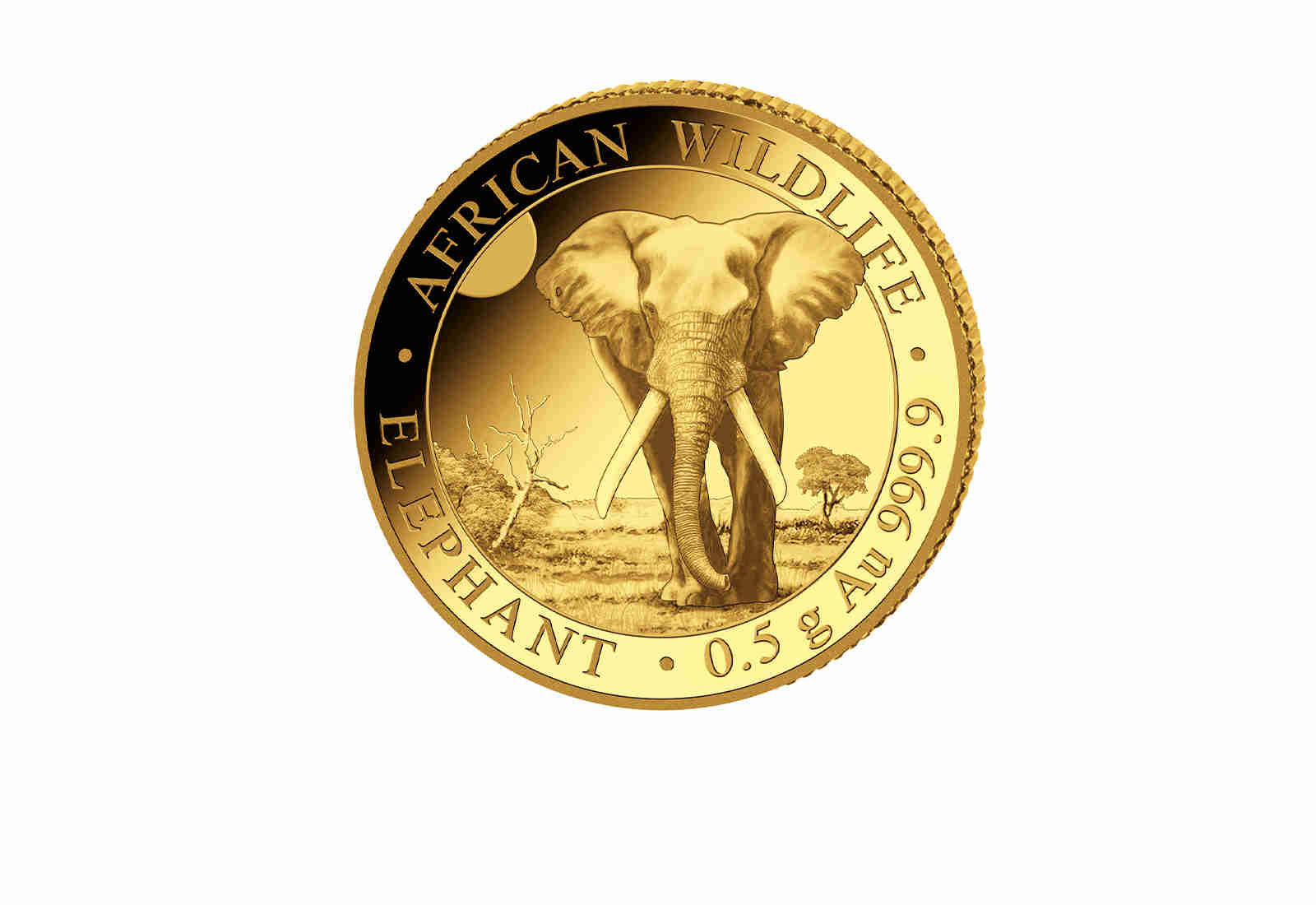 African Wildlife Serie 0,5 g Gold 2025 Somalia Elefant