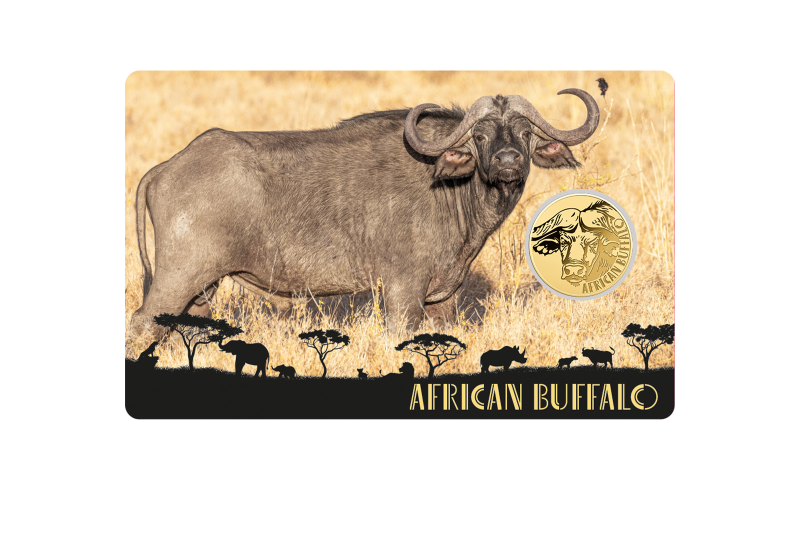 Goldmünze Motiv African Buffalo Coincard Feinheit 999/1000 Gold Geschenk