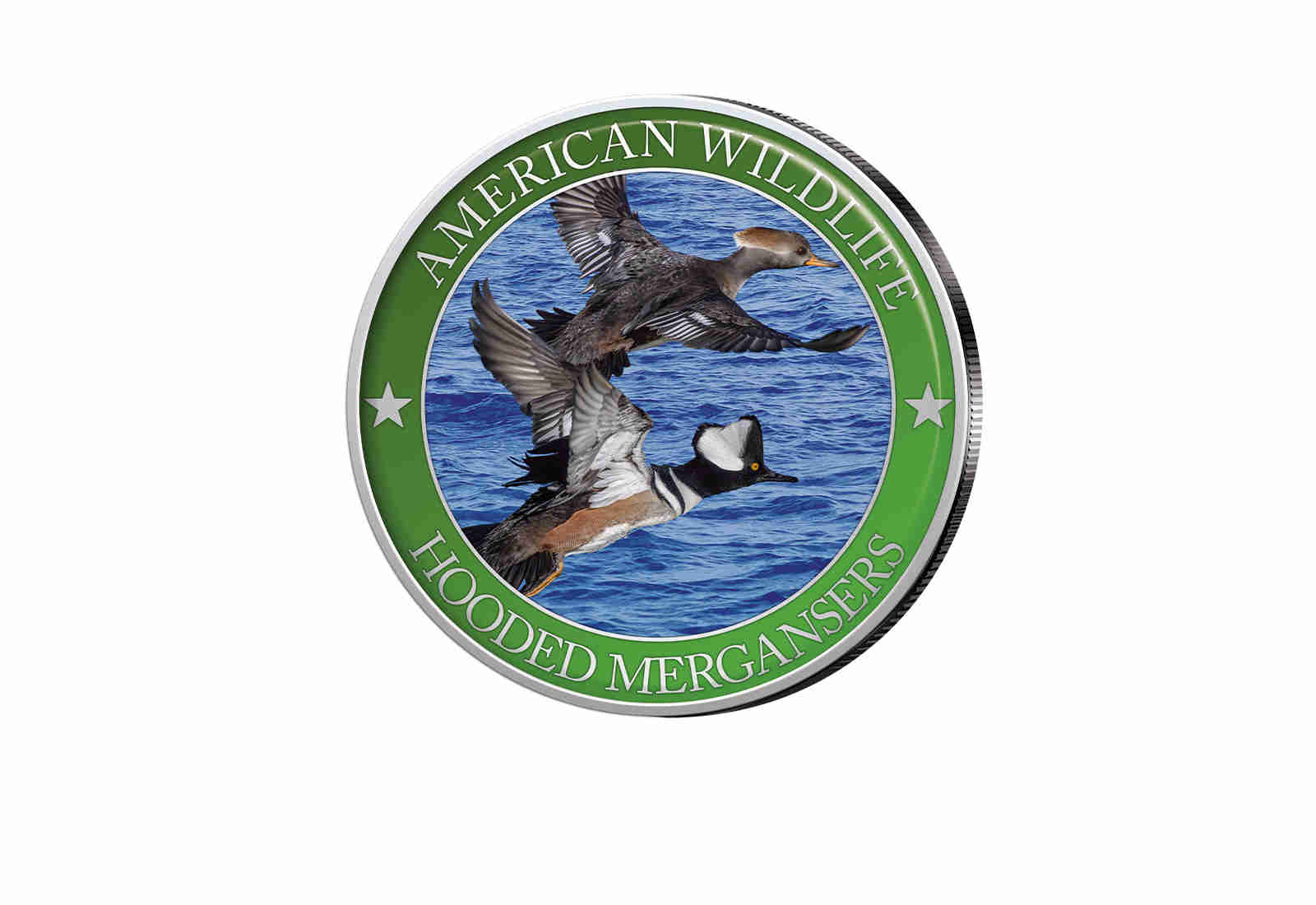 1/2 Dollar USA Hooded Merganser Serie American Wildlife mit Farbmotiv