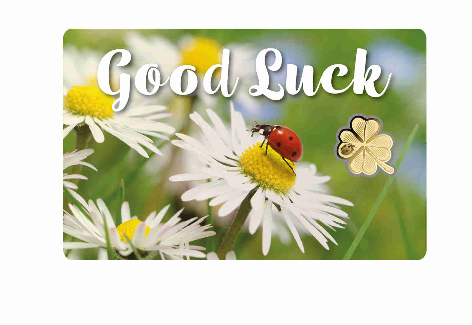 Goldausgabe Good Luck Goldcard 999/1000 Gold Geschenk