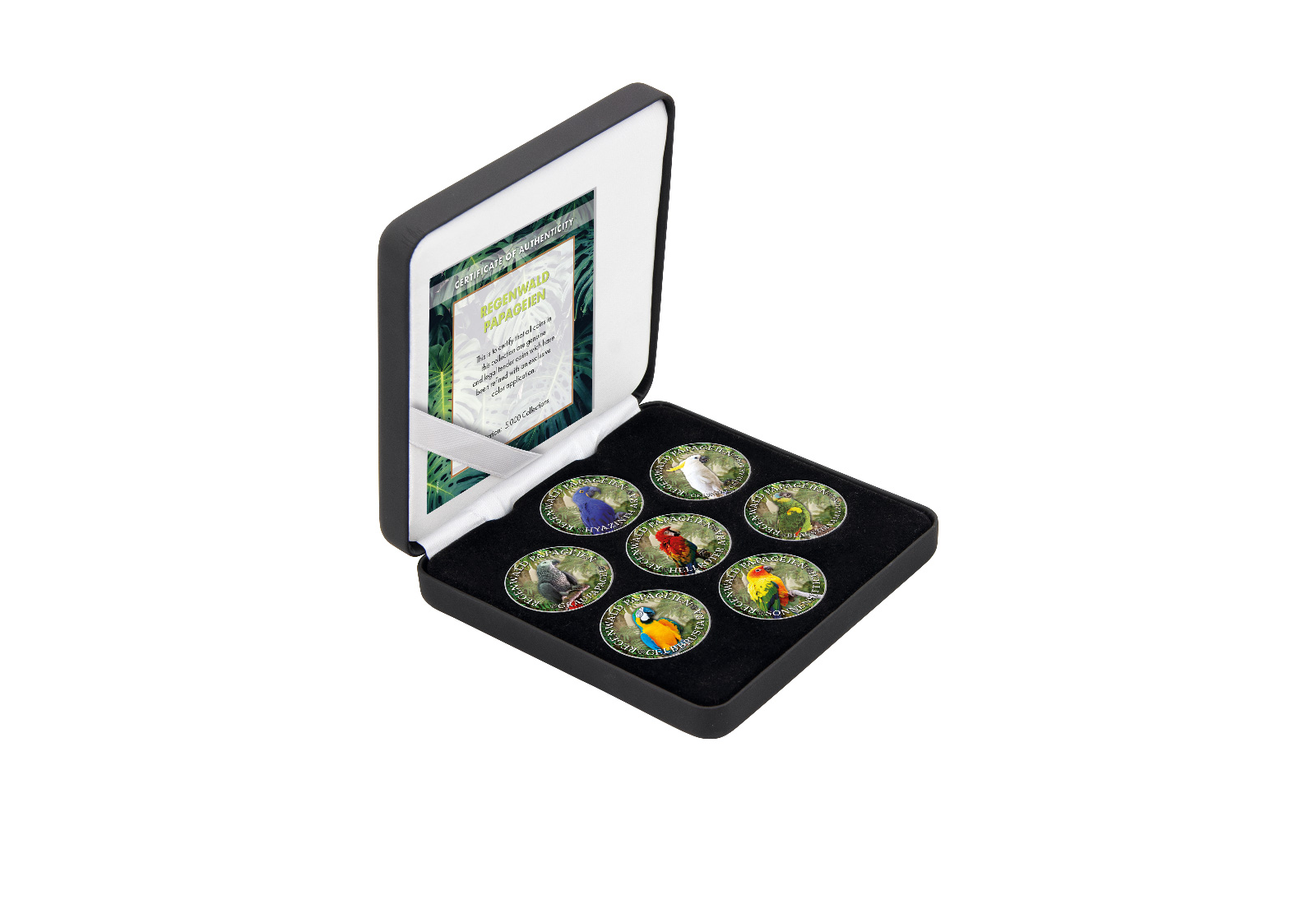 Regenwald Papageien 7er Kollektion mit Farbapplikation im Etui inkl. Zertifikat