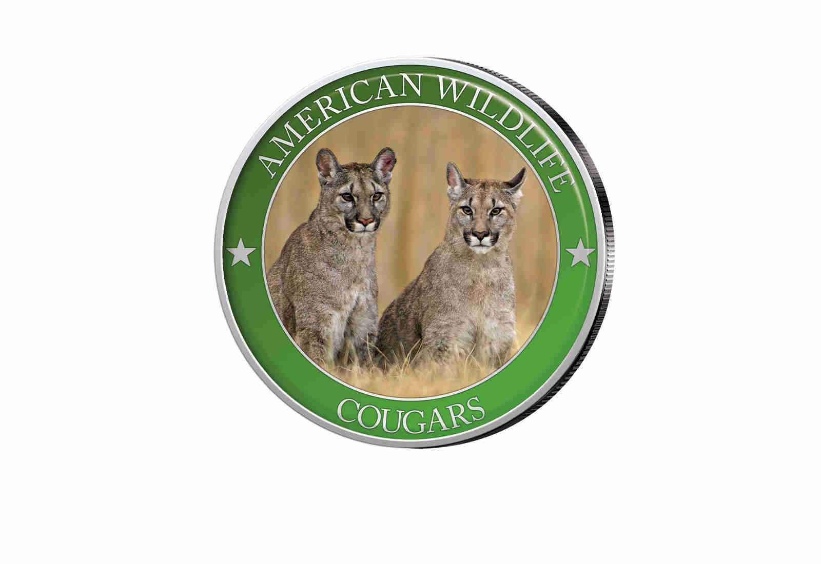 1/2 Dollar USA Cougar Serie American Wildlife mit Farbapplikation