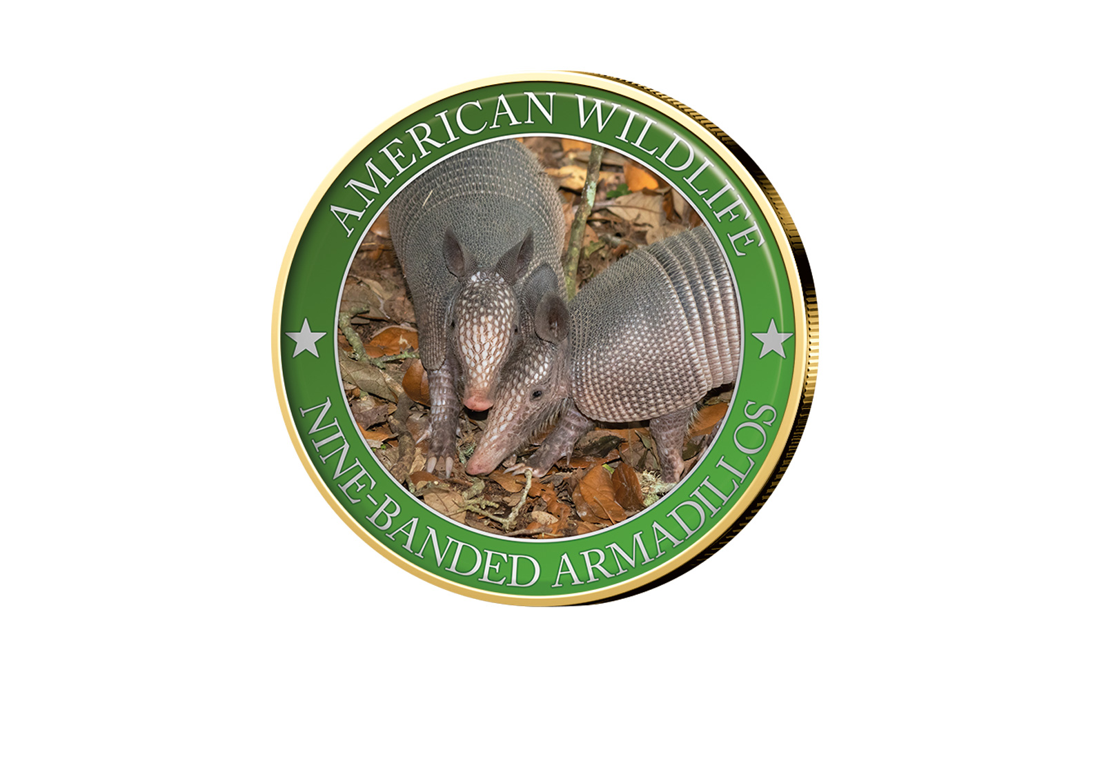 1/2 Dollar USA Nine-Bandet Armadillo Serie American Wildlife mit Farbapplikation