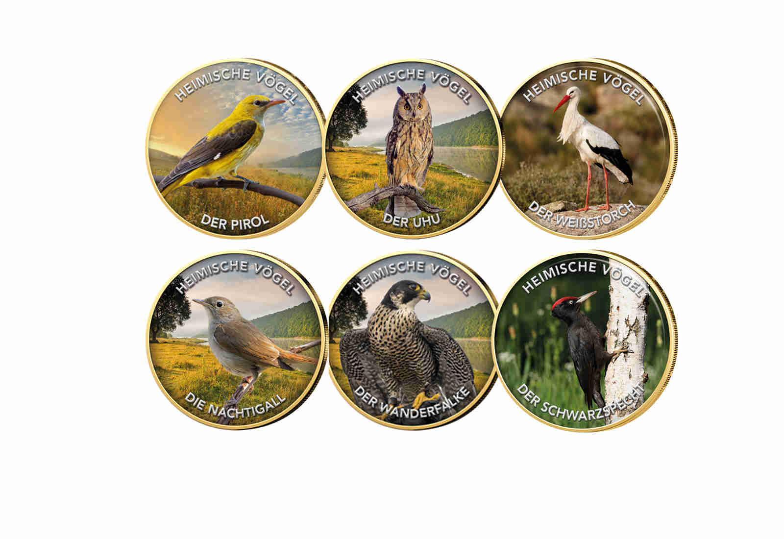 6er Kollektion Heimische Vögel mit Farbmotiv im Etui inklusive Zertifikat