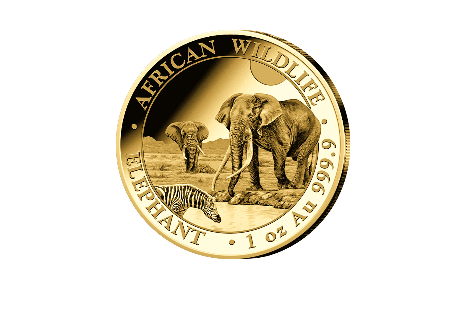 African Wildlife Serie 1oz Gold 2026 Somalia Elefant