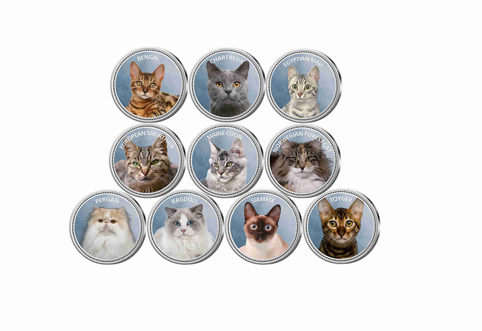 Die beliebtesten Katzen 10er Kollektion mit Farbmotiv im Etui inkl. Zertifikat