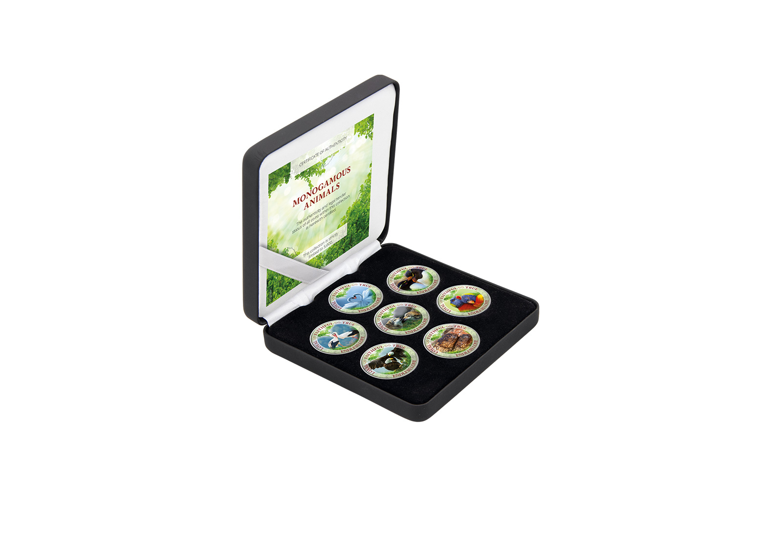 Tiere Monogamie 7er Kollektion mit Farbapplikation im Etui inkl. Zertifikat