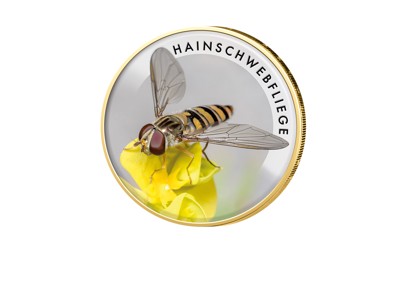 2 Euro Hainschwebfliege vergoldet mit Farbmotiv
