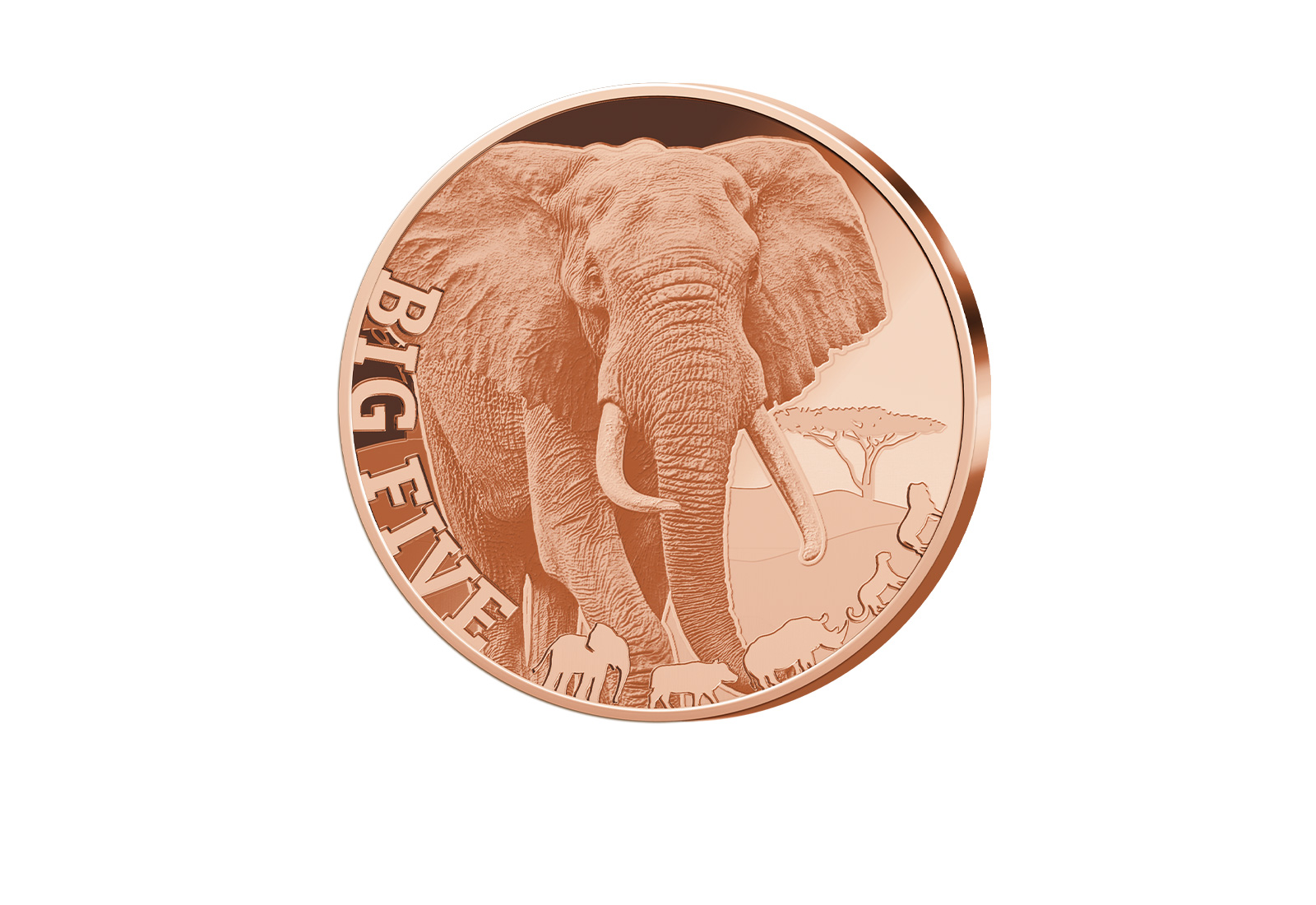 1 oz Kupferausgabe Elephant Big Five of Africa