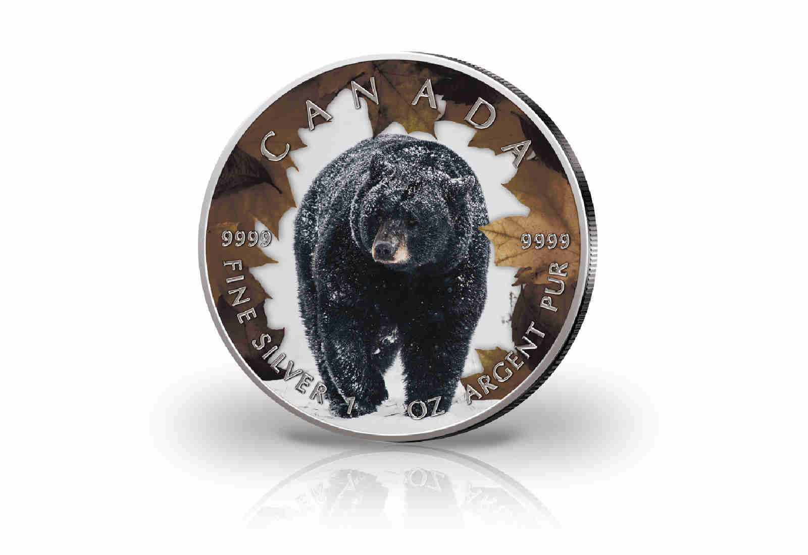 Maple Leaf 1 oz Silber Jahrgang unserer Wahl Kanada mit Farbapplikation Schwarzbär