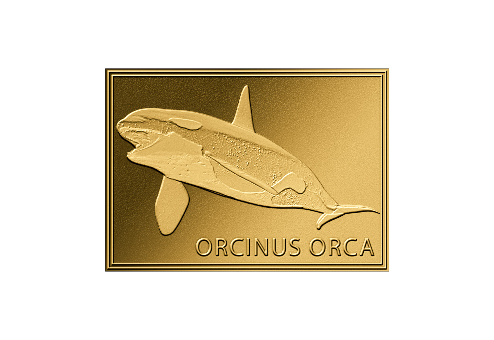 Goldmünze Motiv Schwertwal 999/1000 Gold Geschenk