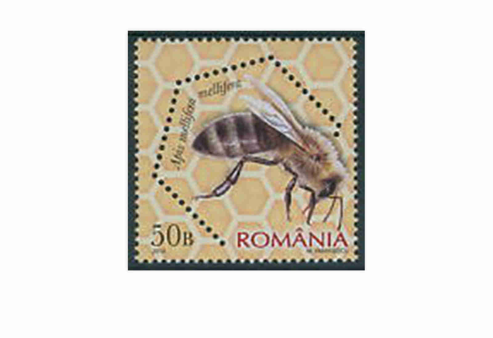 1000 Marken Rumänien