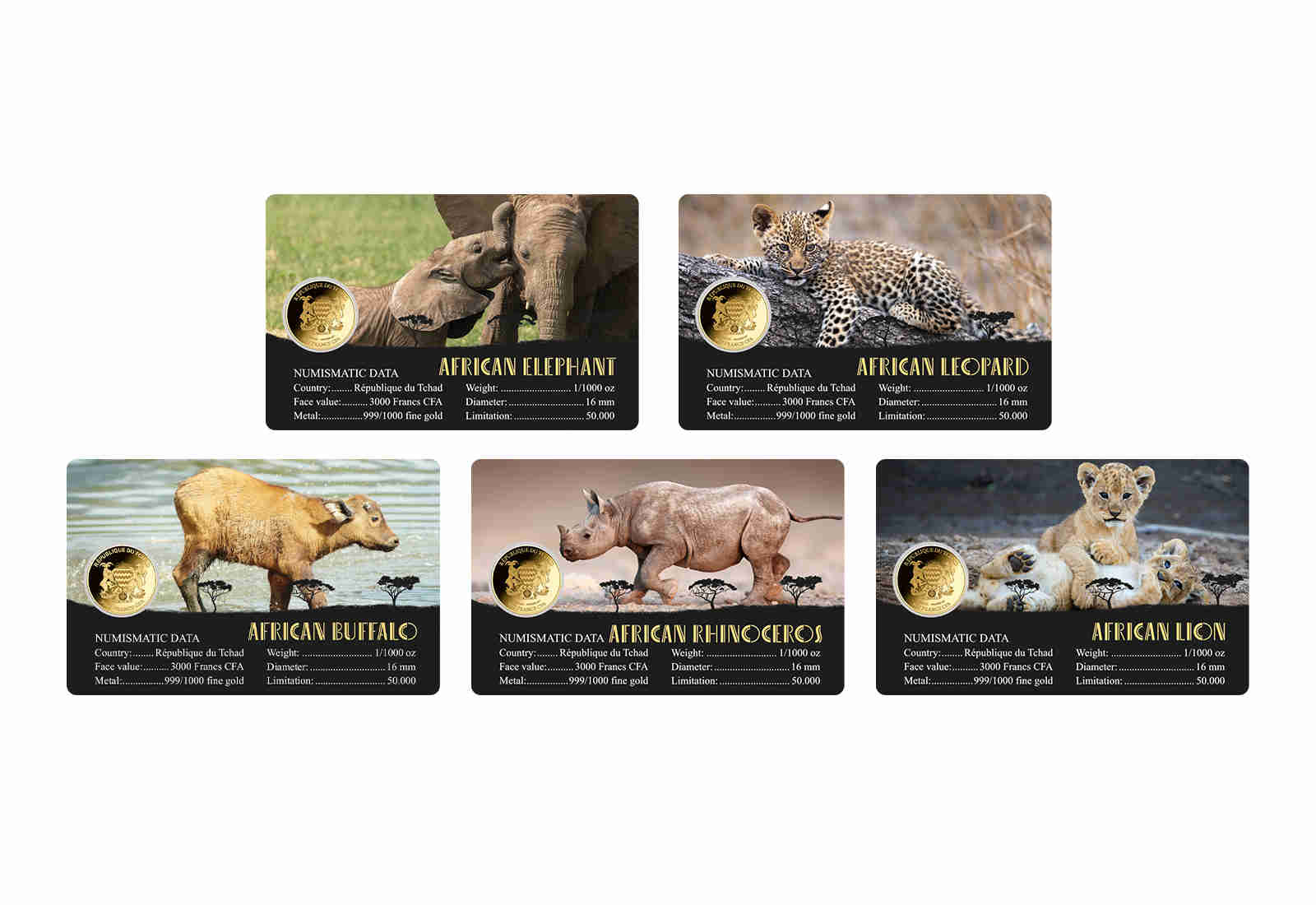 5er Set Goldmünzen Motiv Big Five Afrikas in Coincards Feinheit 999/1000 Gold Geschenk