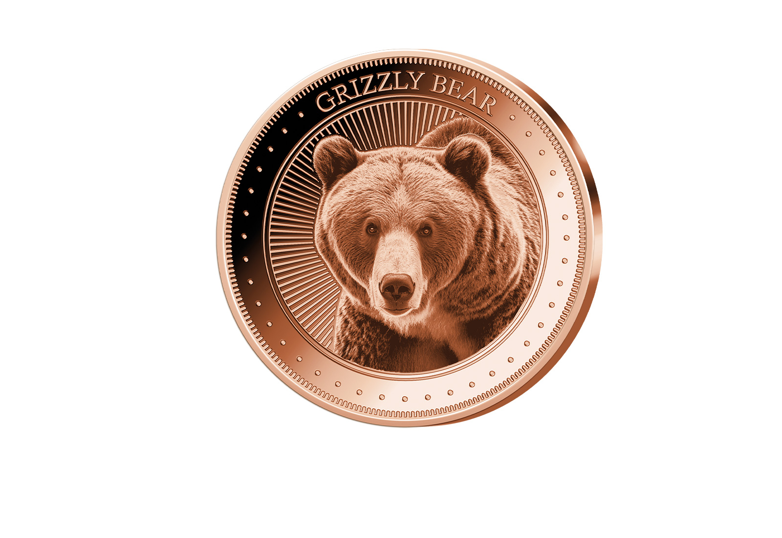 1 oz Kupferausgabe Grizzly Bear
