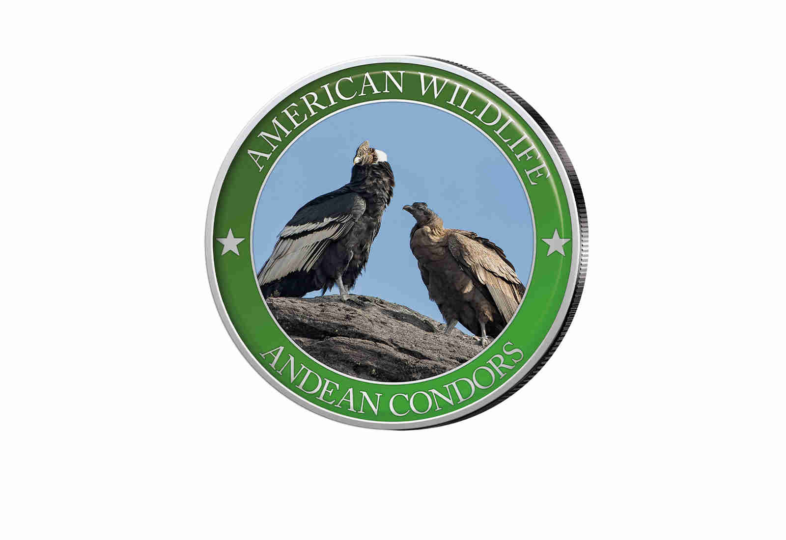 1/2 Dollar USA Andean Condor Serie American Wildlife mit Farbapplikation