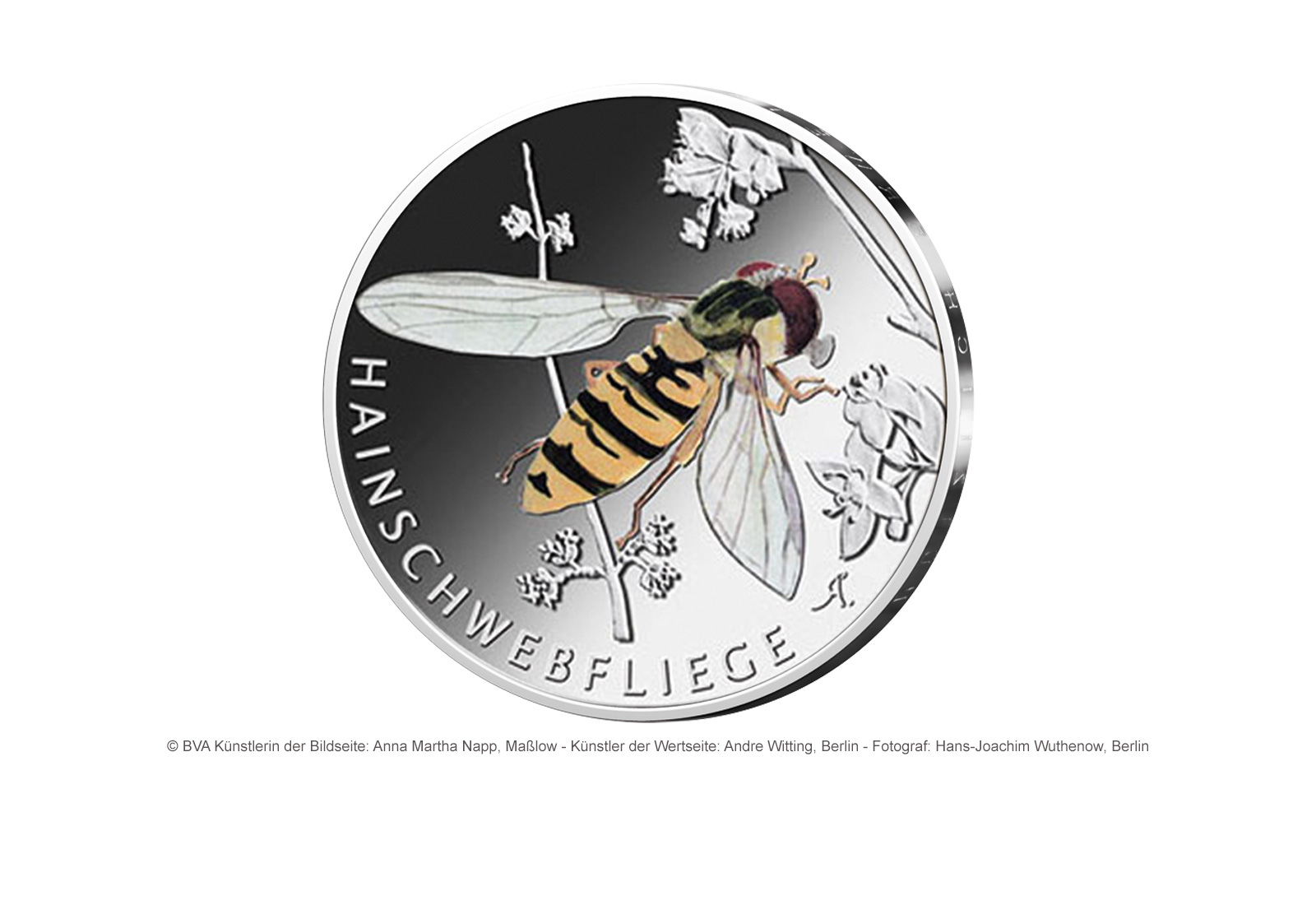 5 Euro 2024 Deutschland Hainschwebfliege st Prägestätte F