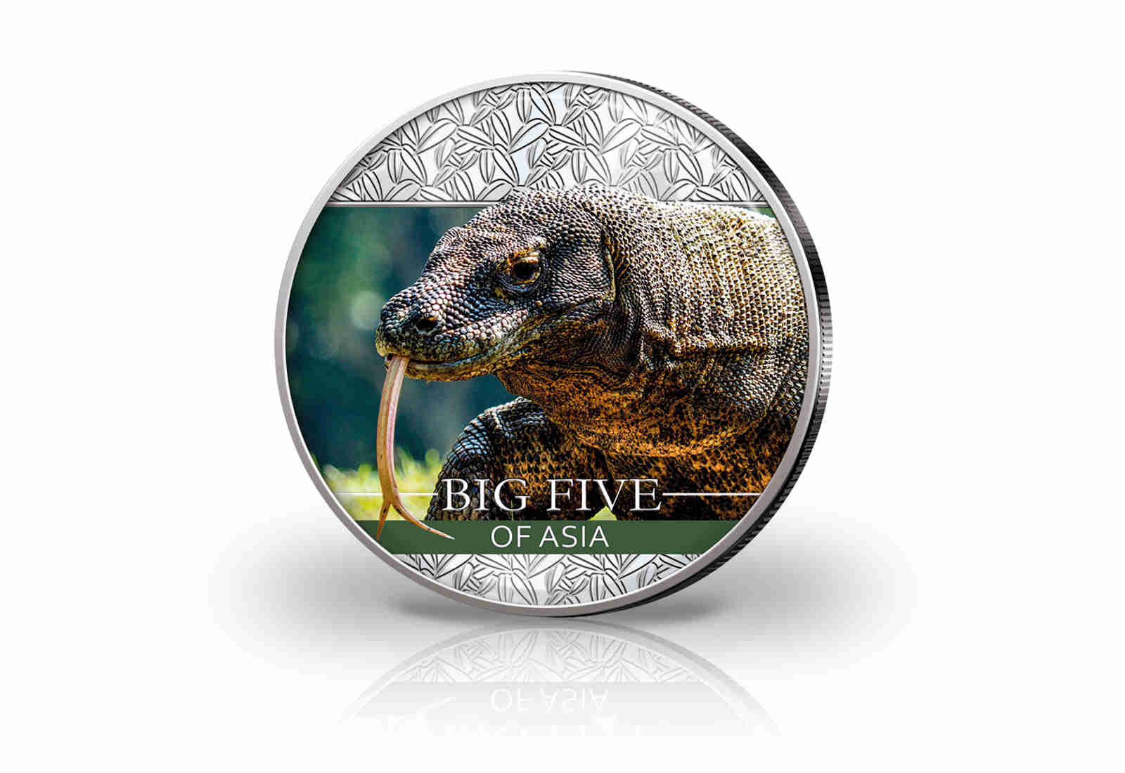 Big Five Asien Panda 30 g Silber Jahrgang u. Wahl mit Farbmotiv Komodowaran